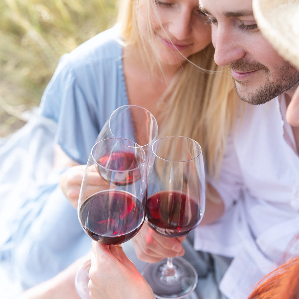 Lunasol Premium Glass Crystal Starter Set 18-piece – Elegant wine and champagne glasses made of crystal glass