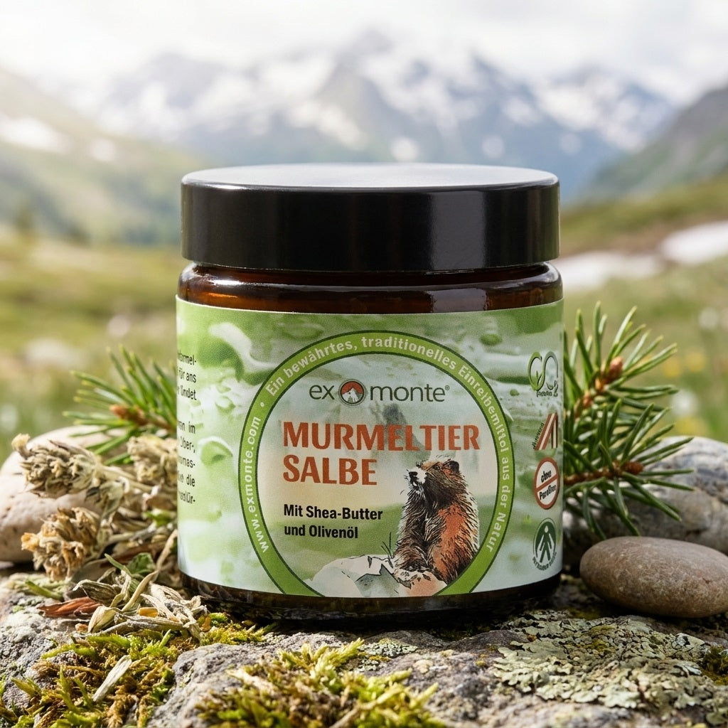 Exmonte Murmeltiersalbe aus Österreich im 100ml Tiegel