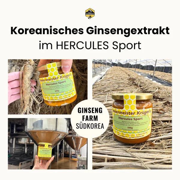 HERCULES Sport – Premium Bienenkraft mit Ginseng & Gelee Royal