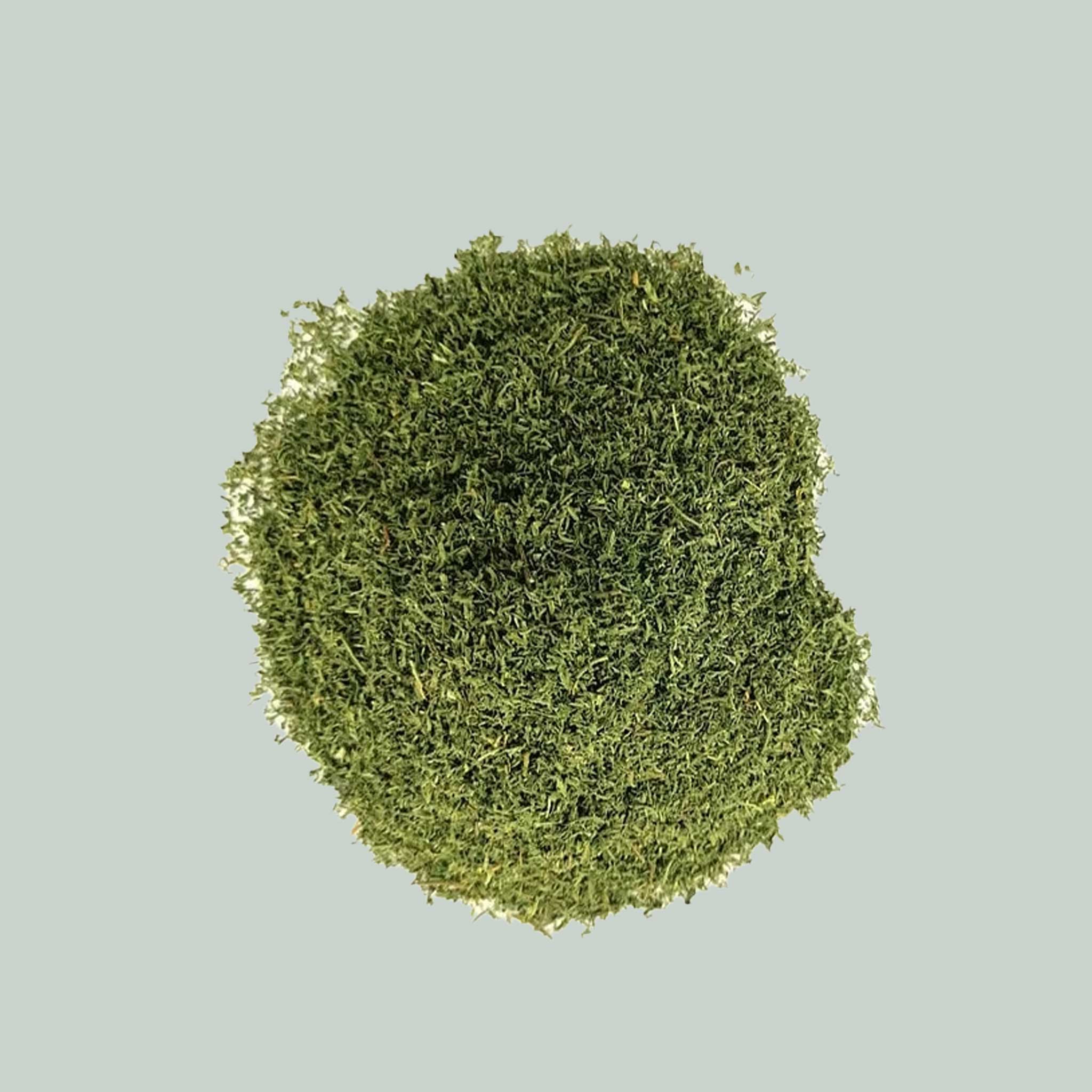 Artemisia annua Premium Blattspitzen Bio – natürliche Ergänzung für Tiere