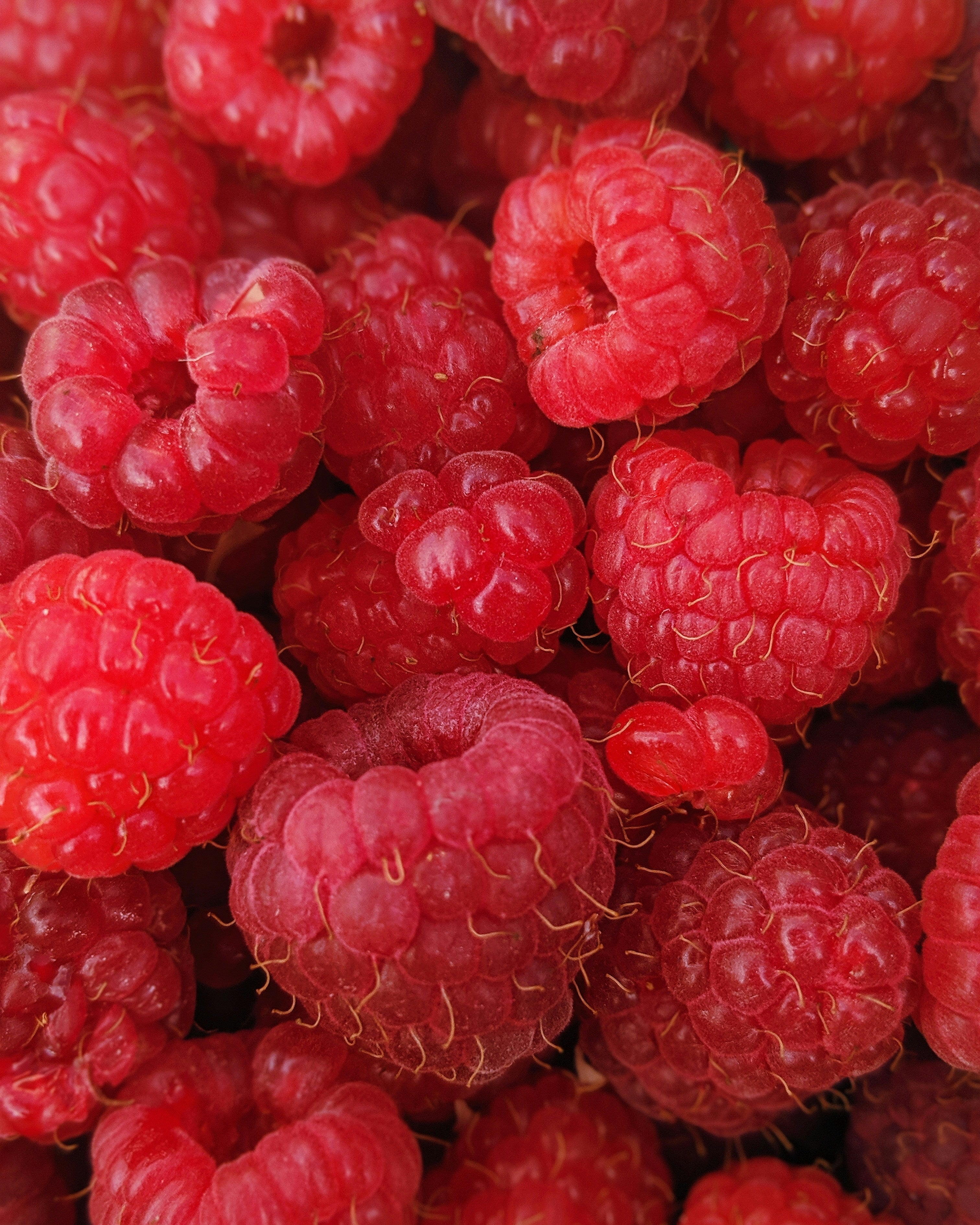 CureFood Organic Raspberry Powder – Natural Superfood for Energy, Skin & Immune System